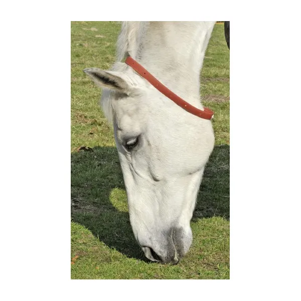 Bon March Lot de 2 collier Anti-Insectes – Standard