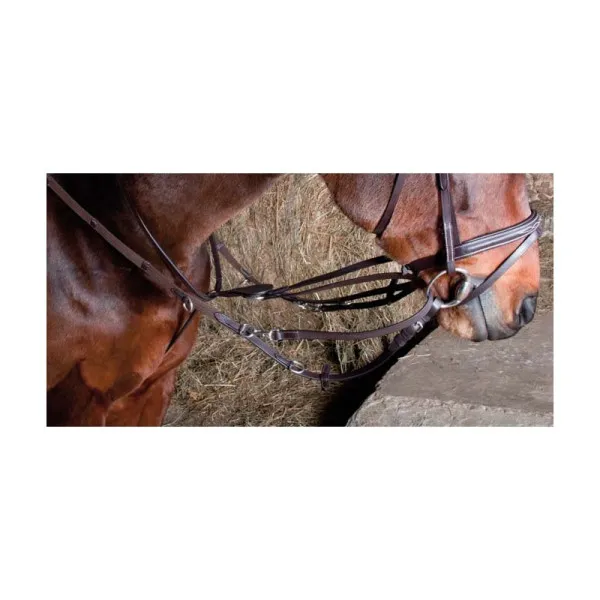 Meilleur Choix Enrnement HOWLETT QUADRUS - Cheval