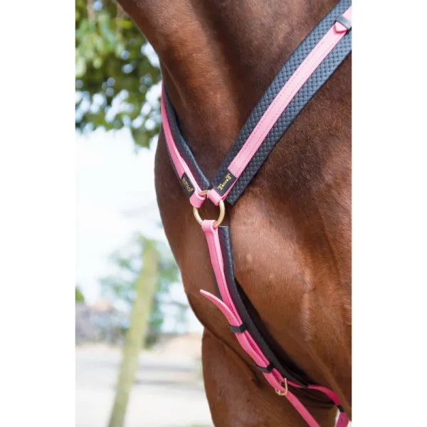 Remise Collier De Chasse Biotack martingale amovible - Cheval