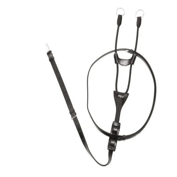 Martingale Mlanie - Poney Livraison Express