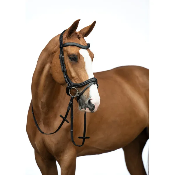 Offre Exclusive Bridon -Anatomic- - Cheval
