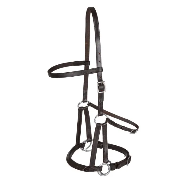 Populaire Filet sans mors Linda Tellington Jones - Cheval