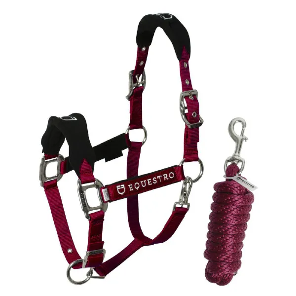 Prix Promo Licol +longe Equestro - Poney