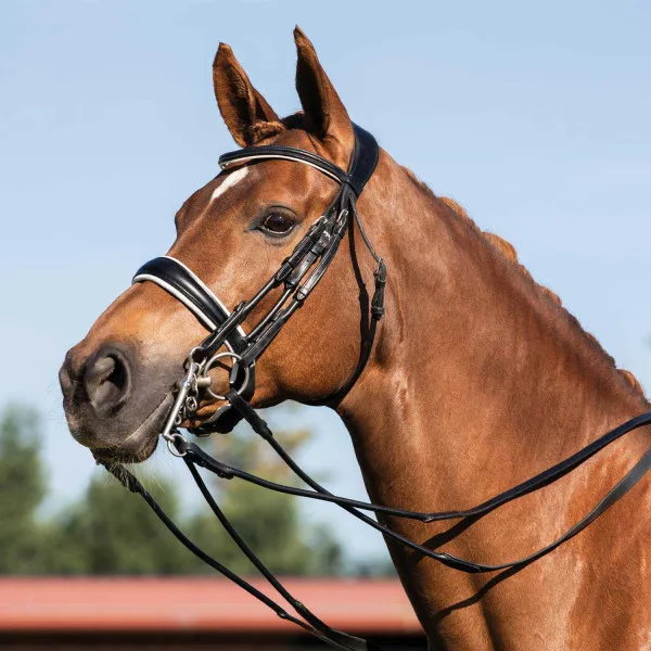 Top Vente Bride ACAVALLO DRESSAGE CUIR ROND GIOCANDA - Cheval