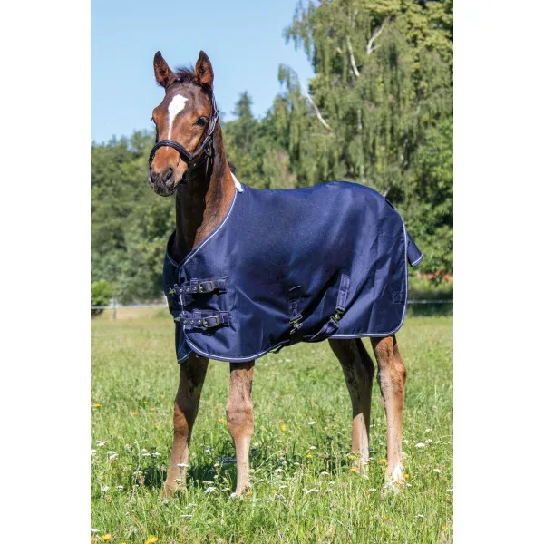 Couverture pour poulain - 105CM Acheter Direct
