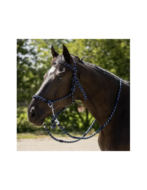 Licol en corde Aubree QHP avec rnes - Bleu marine / Blanc - Cheval/Full Meilleur Prix