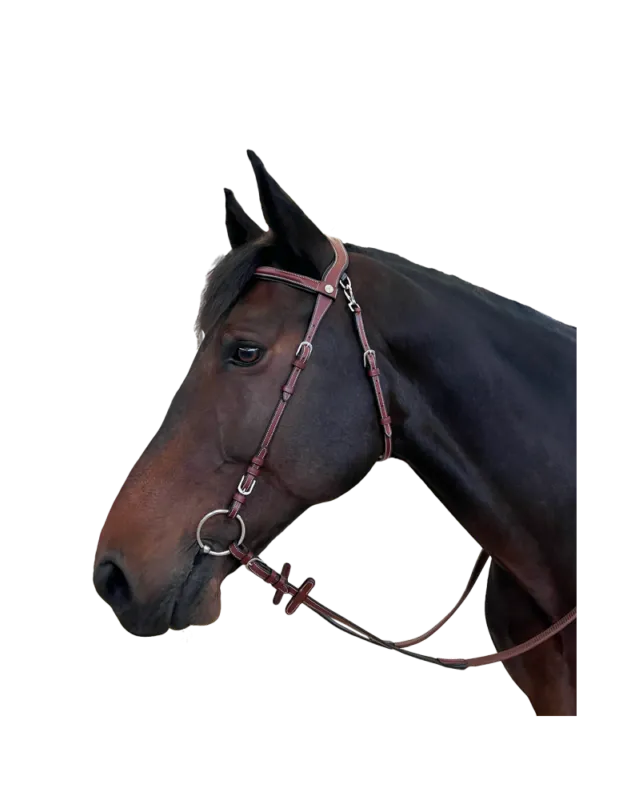 Offre Limite Bridon FLAGS&CUP "Freedom" - Havane - Cheval/Full