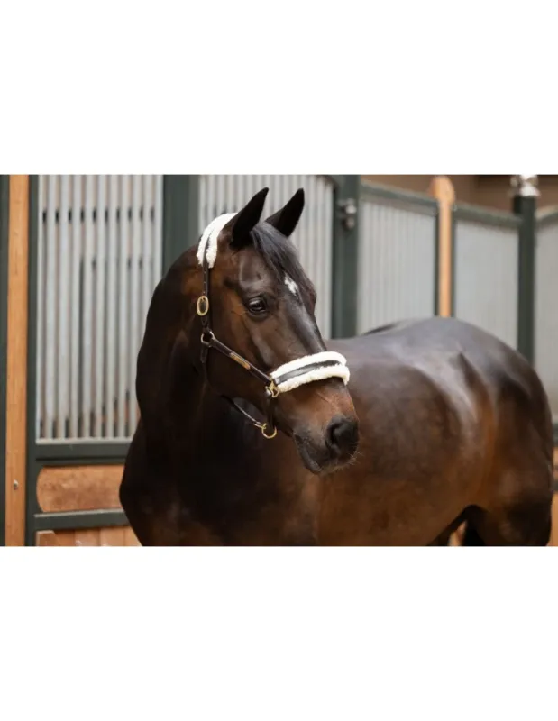 Promotion Licol cuir ou mouton ESKADRON "Elegance" - Havane - Pur-sang/Cob