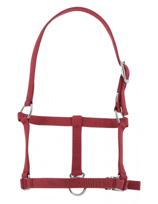 Promotion Licol RIDING WORLD "Foal" - Bleu marine - Foal/Poulain
