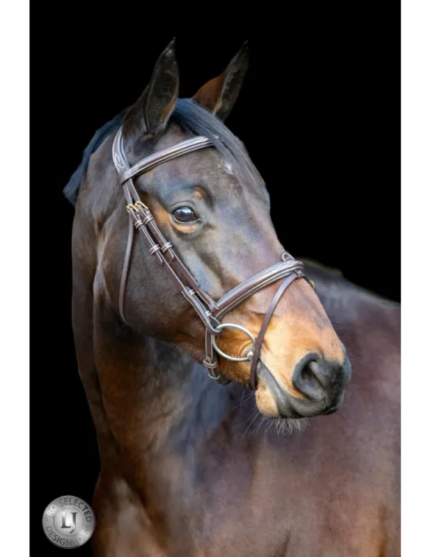 Haute Qualit Bridon LJ CUIRS « Heritage » – Havane – Pur-sang/Cob