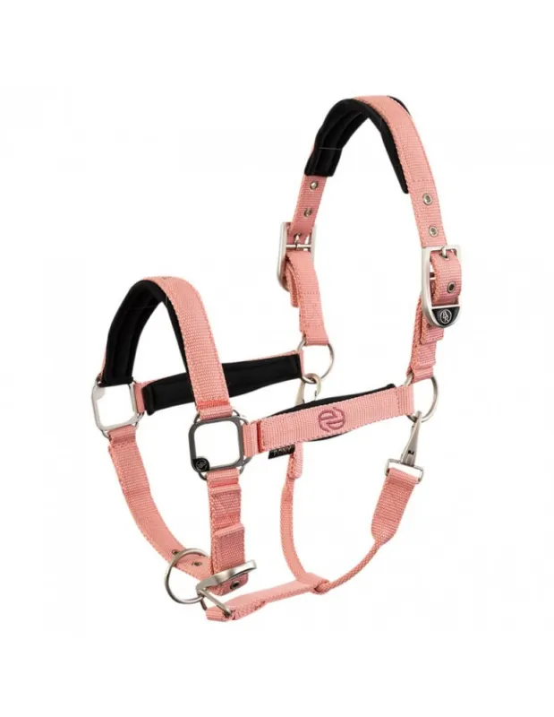 Nouvelle Collection Licol BR "Eevolv" - Ashley blue - Poney