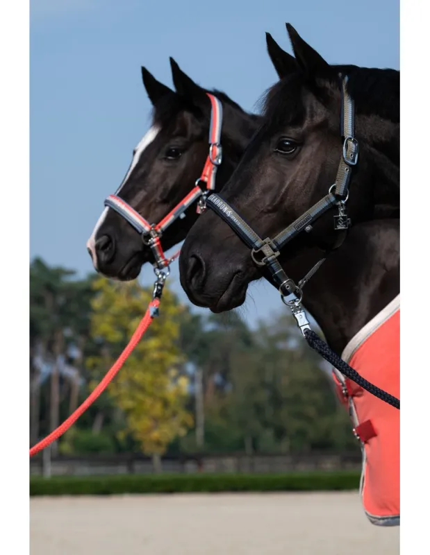 Licol ESKADRON "Trio Classic Sports 25" - Pur-sang/Cob Commander Maintenant