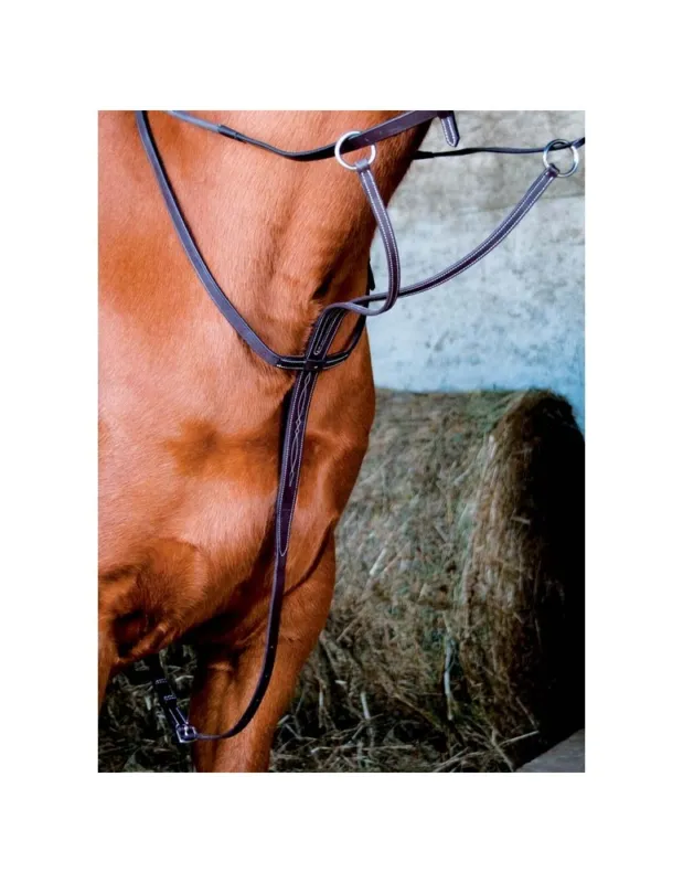 Commander Maintenant Martingale TDET - Havane - Cheval/Full