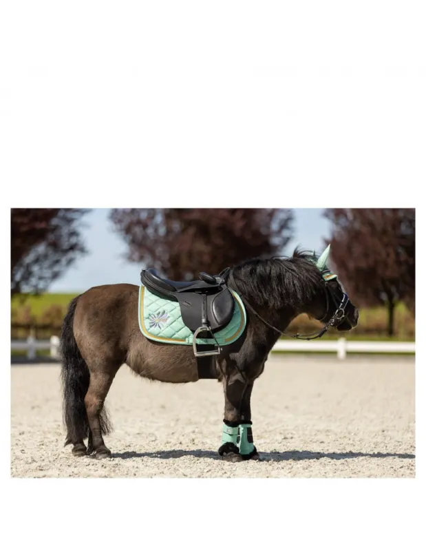 Tapis BR "Mini horse" - Feldspar (vert menthe ) - Shetland Achat Immdiat