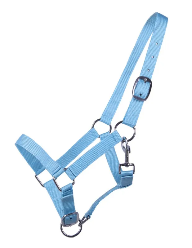 Licol yearling QHP - Bleu - Yearling Usine Directe