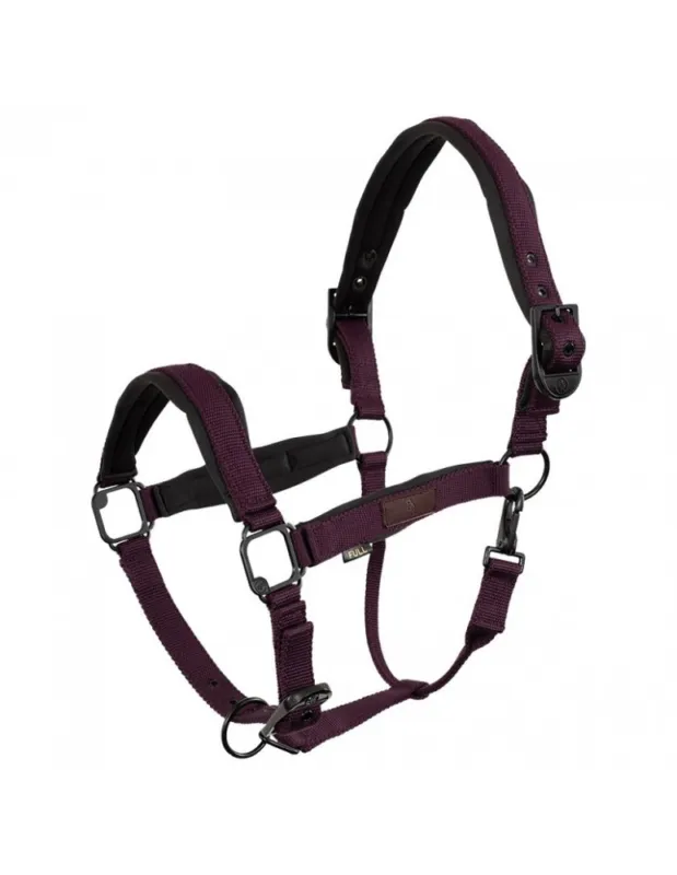 Licol noprne BR "Fedde" - Gris - Pur-sang/Cob Bon March