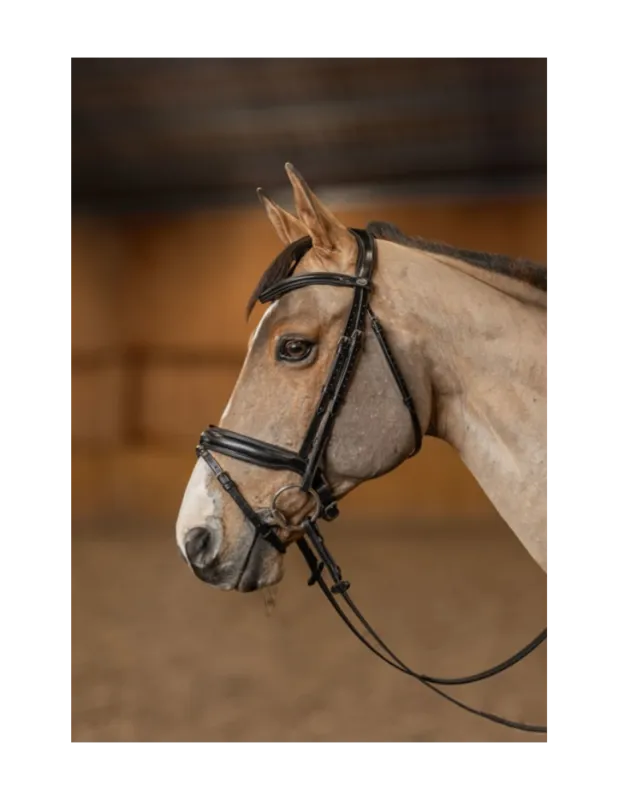 Prix Rduit Bridon HFI PRO LINE Verona - Noir - Cheval/Full