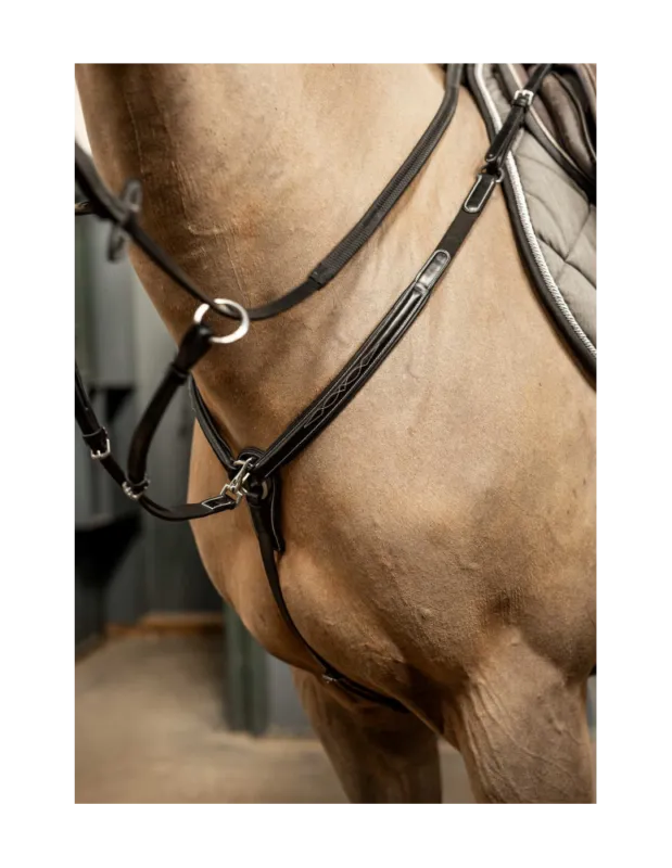 Vente Flash Collier de chasse HFI PRO LINE "Arrezo" - Havane - Cheval/Full