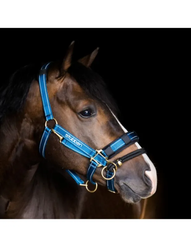 Achetez Aujourdhui Controller licol STBBEN - Cheval/Full